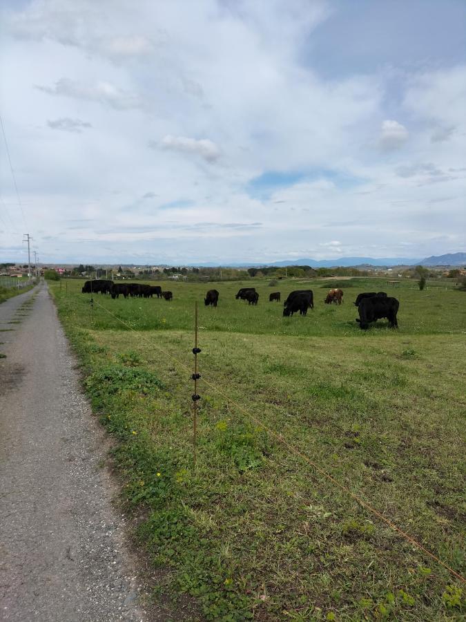 Rod Ranch Livestock - Appartamento Con Camino E Vista Piscina Campagnano Di Roma Dış mekan fotoğraf