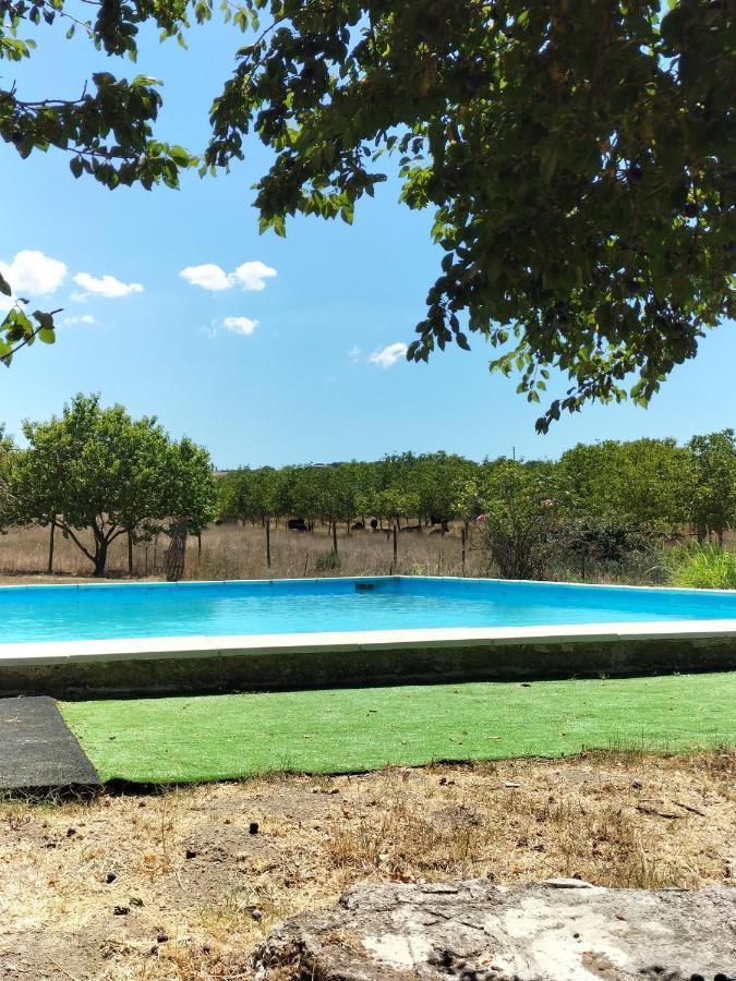 Rod Ranch Livestock - Appartamento Con Camino E Vista Piscina Campagnano Di Roma Dış mekan fotoğraf
